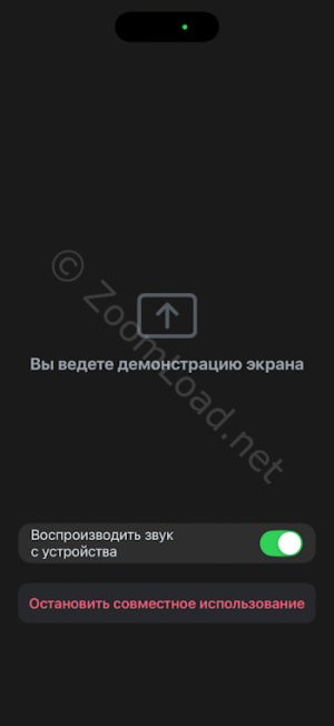 Остановка трансляции или выключение передачи звука с микрофона